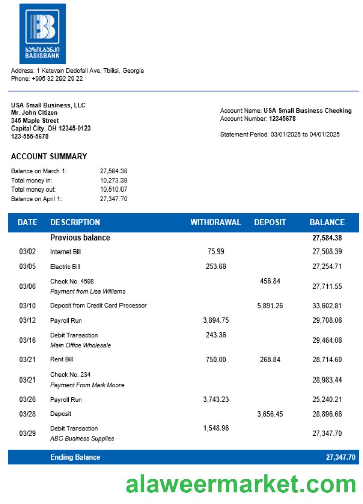Basis Bank company statement Word and PDF format
